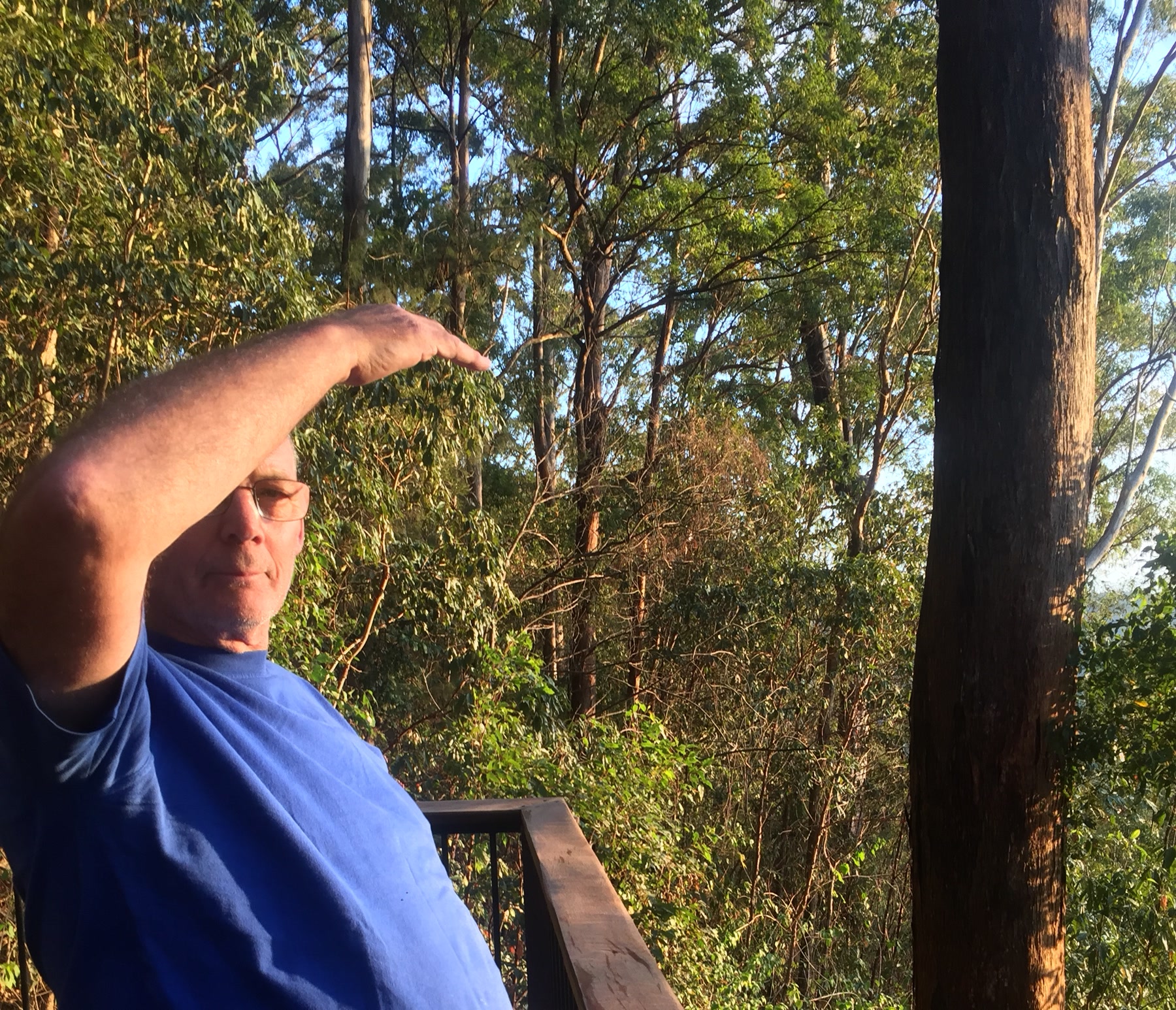 Landscape portrait of Martin shielding his eyes in a wooded area