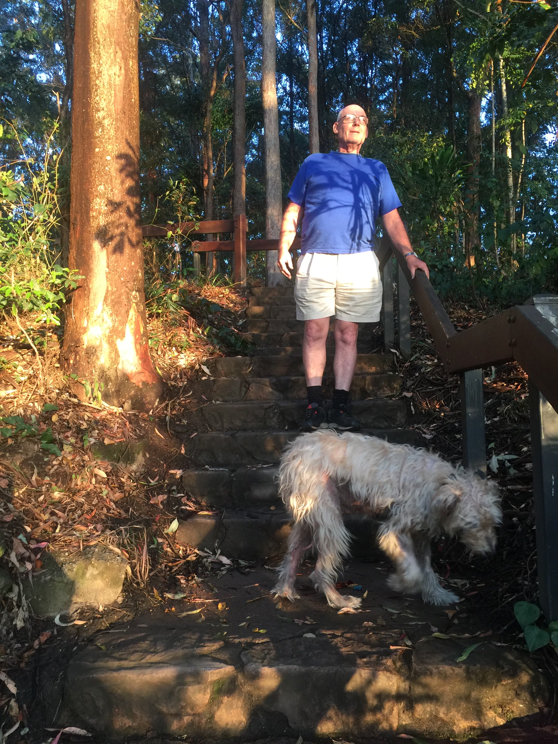 Martin standing on woodland steps beside a dog